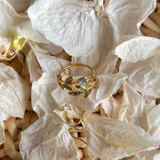 Anillo Liv
